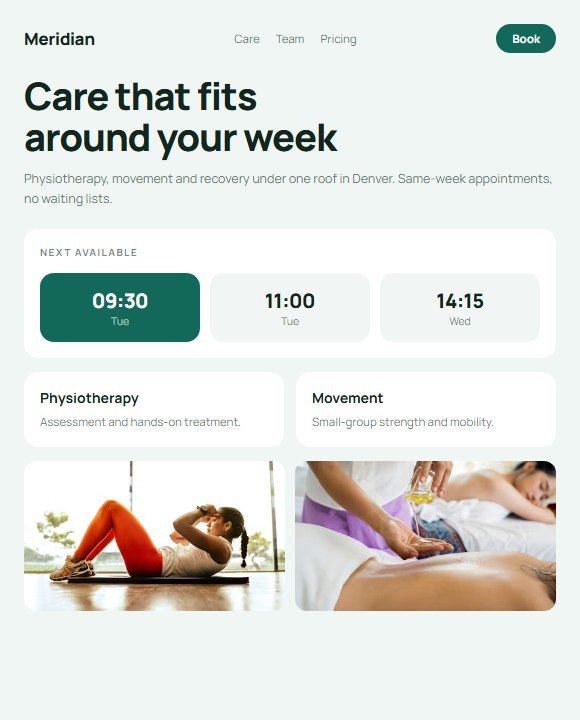 Meridian website concept